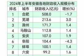 安徽各城市1-6月财政收入：芜湖第2，合肥负增长，马鞍山领先阜阳图片