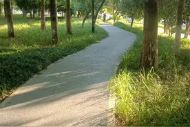 公众号停更一段时间之后，平台不推流了，作者该怎么办图片