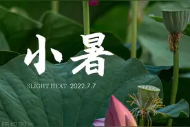 今日小暑，武汉高温+8级大风！今年三伏有40天图片