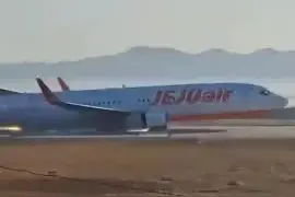 韩国济州航空的空难可能怪不得鸟撞图片