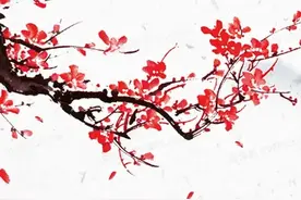 苏轼最奇绝经历的一首诗，被贬南荒但此生不憾图片