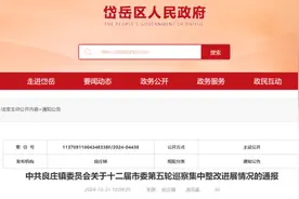 泰安一乡镇巡察情况通报！巡察组反馈这些问题...图片