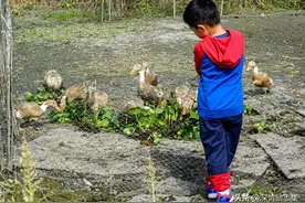 农村散养孩子的童年!摸鱼逮虾!网友:这才是童年真实的样子图片