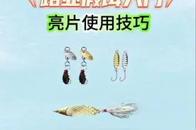 路亚假饵入门（亮片使用技巧）图片