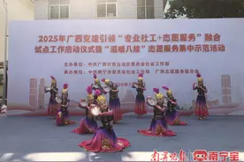 南宁启动“专业社工+志愿服务”融合试点图片