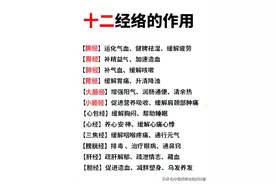 经络通，全身通，12经络养生顺口溜，方便对照图片