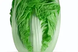 惊！家人买的白菜竟然喷洒过甲醛！专家揭秘3个独特特点图片
