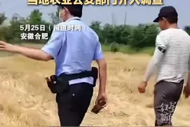 农户近4万斤小麦被收割机偷割后续:当事人发声 警方介入 评论炸锅图片