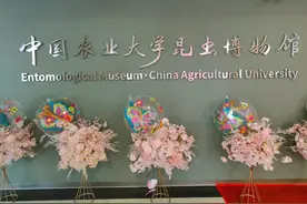 免费参观！来这所高校能逛3家博物馆图片
