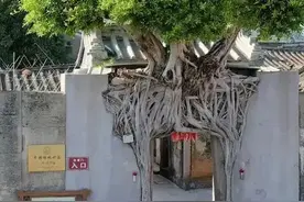 中国最坚强的三棵树，每一棵都堪称生命的奇迹图片