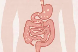 哪些情况影响消化，让瘦人总是长不胖？想增肥的瘦子多了解！图片
