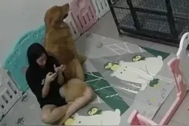 为什么独自居家女生喜欢养大型狗？🐶图片