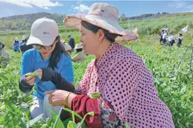 建设银行:为乡村振兴事业注入青春力量图片