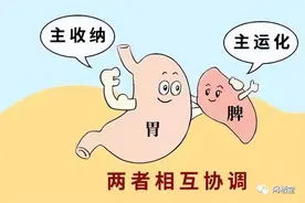 减肥减不下来，体内湿气重，气血不足等问题，可以考虑先养脾胃图片