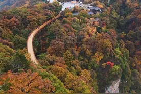 美爆了！西安自驾1.5h，这个秦岭绝美赏秋地，红叶“大片”上线！图片