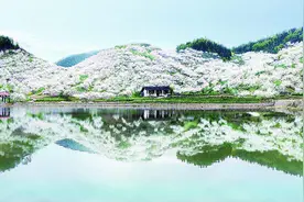 市文旅委发布重庆春季十大主题旅游线路 最是一年好风景 这些地方花量高图片