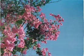 无论男女，对方能忍住不联系你，一般都是这个原因图片