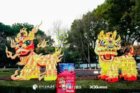 彩灯璀璨迎新春，苏州这些灯会太美啦！图片