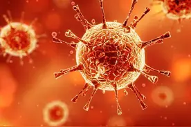 HIV病毒是否在体外能存活？图片
