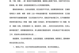四上语文期末阅读理解专项训练18篇(含答案31页)，收藏备用图片
