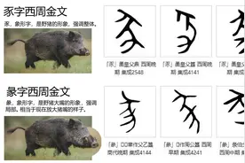 汉字探源：彖字本义图片