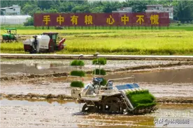 不需要农民种地了！农大教授研制出无人农机，能自己播种打药收割图片