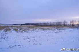 欲望大，但房事不能起立，教你一招，增坚长硬，错过就是你的损失图片