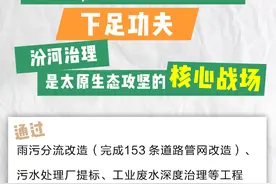 太原人集体仰头看啥？原来是海鸥带着蓝天认证来打卡啦！图片