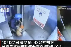什么心理？长沙一外卖员抓猫从26楼扔下致死，警方已介入调查！图片