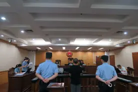 公司新来的法务“背景强大”，为何连律师执业证书都是假的？图片