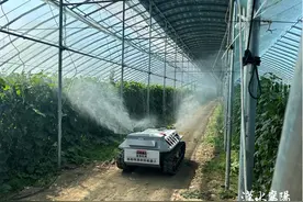 喷药有多快？这个新农人研发的机器人真硬核图片