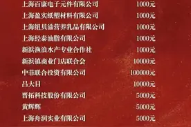 西藏日喀则地震最新捐款名单，第八批捐款名单一览，有谁？捐多少图片
