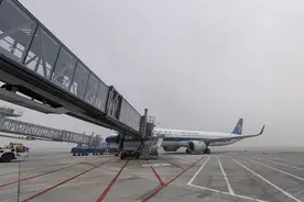 受迎冻雾天气影响，哈尔滨机场部分航班出现积压造成延误图片