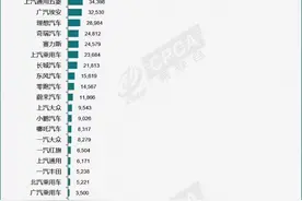 新能源汽车3月批发排名：比亚迪301631辆，特斯拉中国89064辆，长安汽车52900辆，吉利汽车44791辆居前四图片