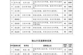 速看！南阳市中心城区部分道路正式命名图片