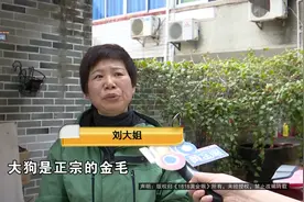 大年初二，谁能想到？！陌生男子偷偷进了她家院子...图片