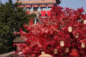 影旅融合，如何让“流量”成为“留量”？图片