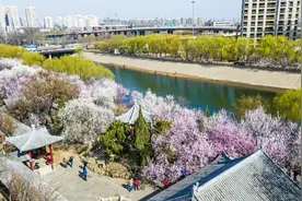 记忆 | 天津今天最火的地界儿，几百年前就是“顶流”！图片