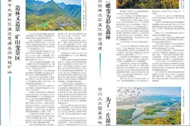 逐绿而行 生态修复打造绿色宜居家园图片