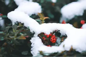 下雪的文案，下雪了唯美句子，短句干净诗意浪漫，发朋友圈图片
