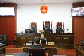 网上售卖30份制毒方法文档获利540元，安徽庐江一大学生涉嫌传授犯罪方法罪被提起公诉图片