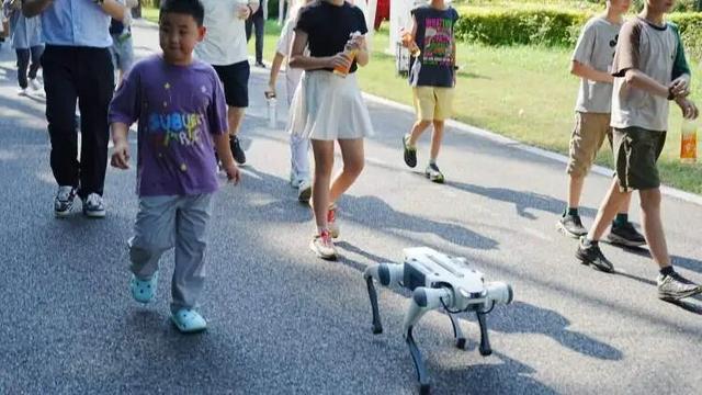 会打太极、能当导游，崇明来了群“AI新员工”，游客直呼太酷了