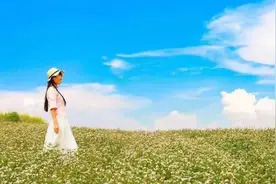 荞麦花海，平遥古城，张壁古堡，波浪谷，甘泉大峡谷深度旅游摄影图片