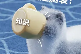 这篇超全！凝血功能检测及临床意义全解读图片
