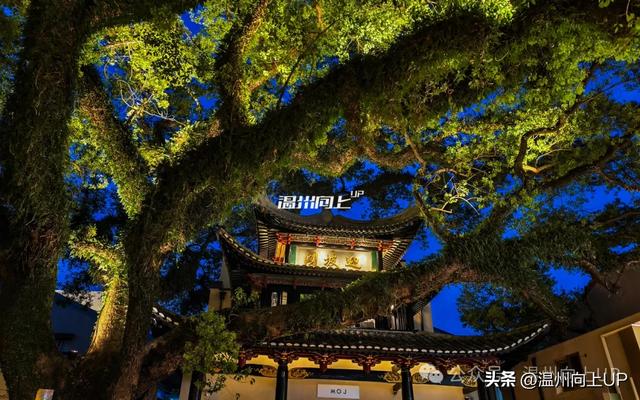 这条老街,我把它评为温州历史街区的“天花板”