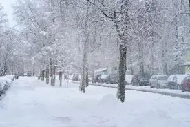 今天辽宁强降雪继续！多地将达暴雪量级图片