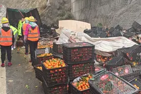 挂车侧翻货物损失大，高速交警救援显真情图片