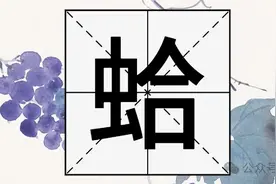 "蛤蜊"的"蛤"不读hā，也不读gě，它的正确读音是？图片