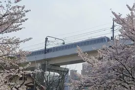 上海23个地铁站更名！网友疯狂吐槽图片