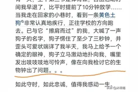 你和你家宠物发生过什么有趣的事？看完网友的分享:让我大开眼界图片